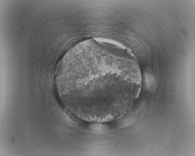 X0000115150231200911171247