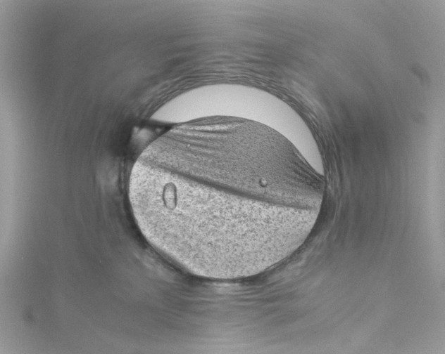 X0000115150233200911171247