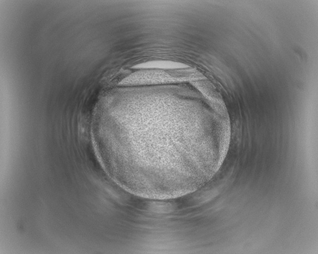 X0000115150234200911171247