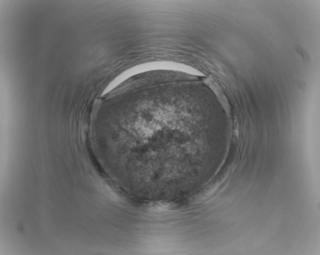 X0000115150235200911171247