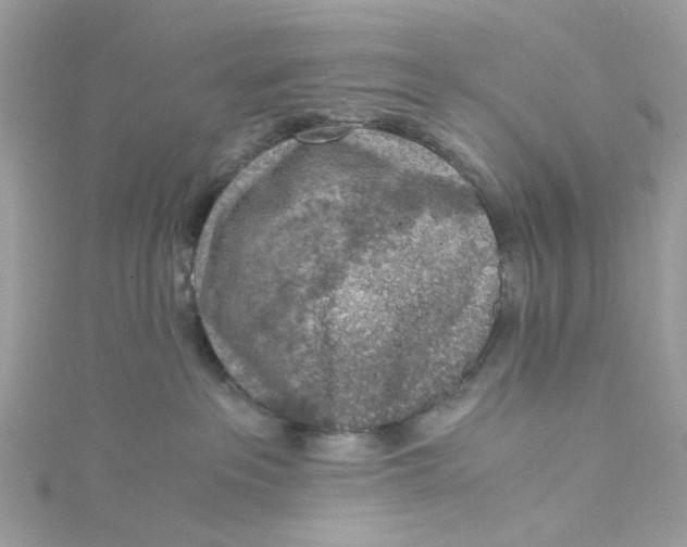 X0000115150237200911171247