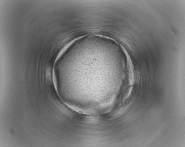 X0000115150238200911171247