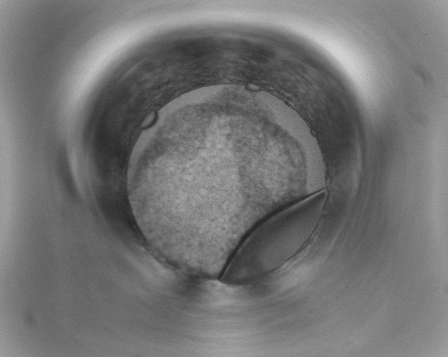 X0000115150239200911171247