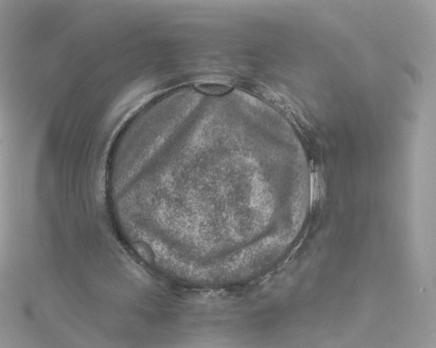 X0000115150243200911171246