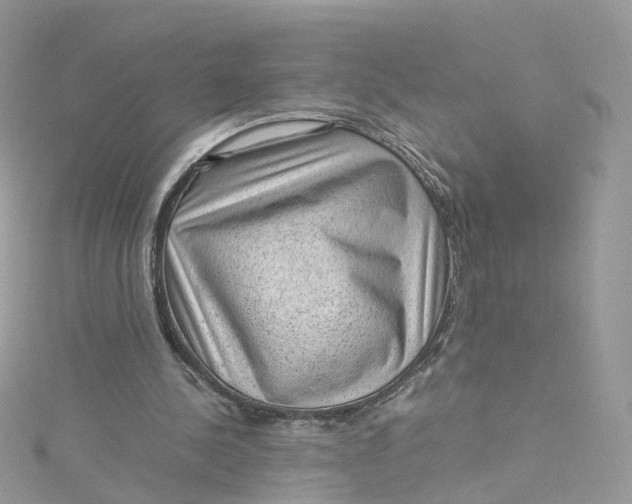 X0000115150244200911171246