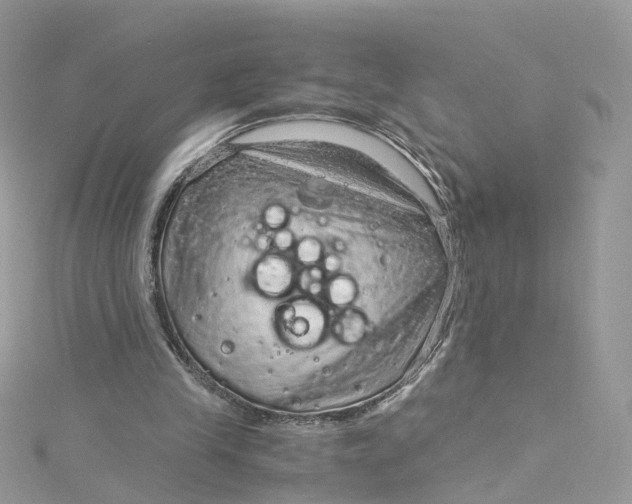 X0000115150245200911171246