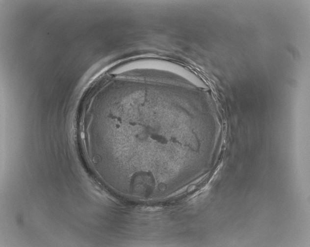 X0000115150247200911171246