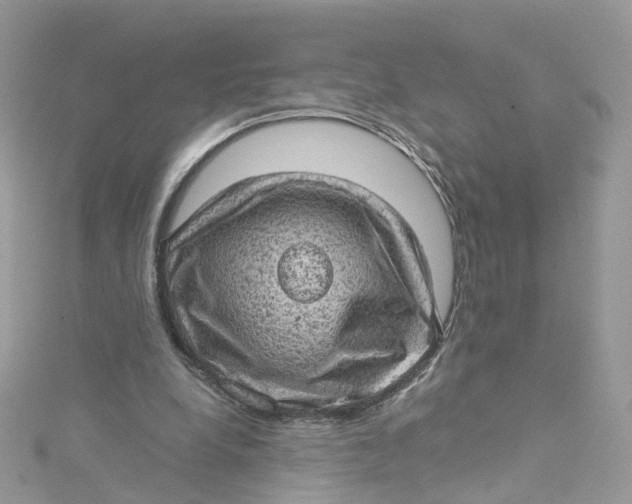 X0000115150248200911171246