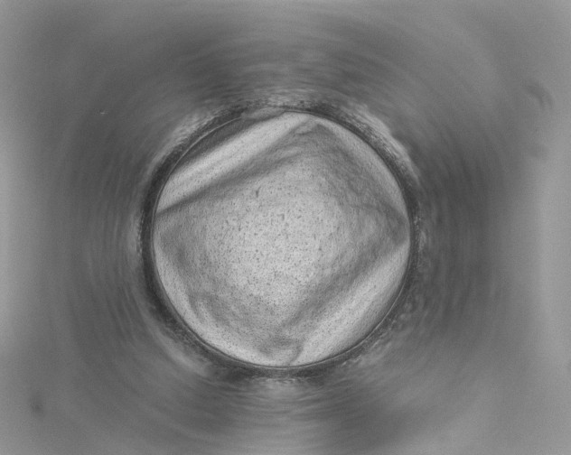 X0000115150250200911171246