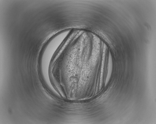 X0000115150252200911171246