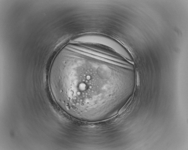 X0000115150253200911171246