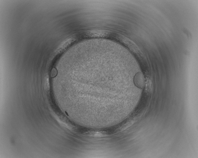 X0000115150254200911171246