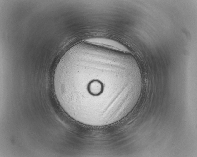 X0000115150255200911171246