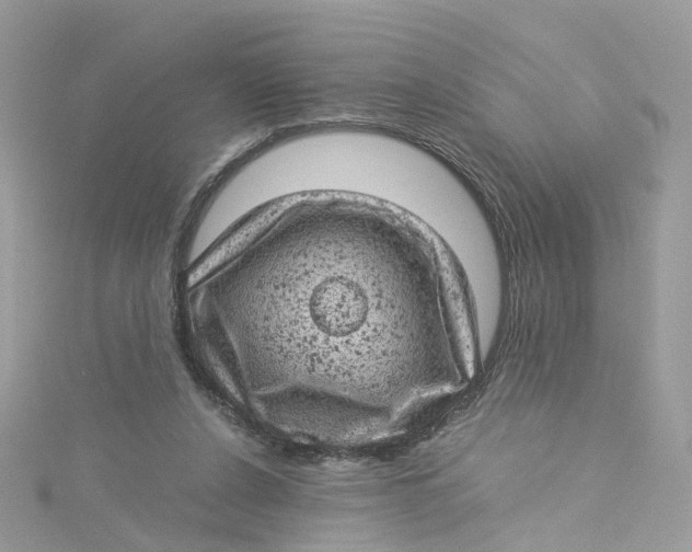 X0000115150256200911171246