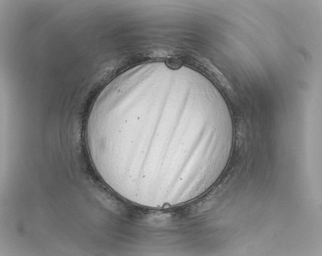 X0000115150257200911171246