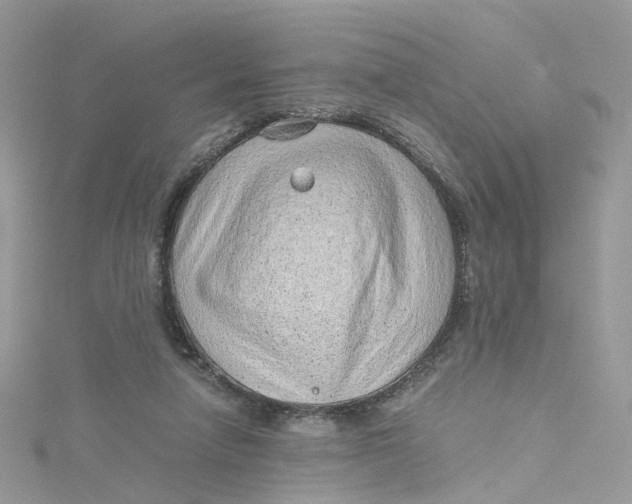 X0000115150258200911171246