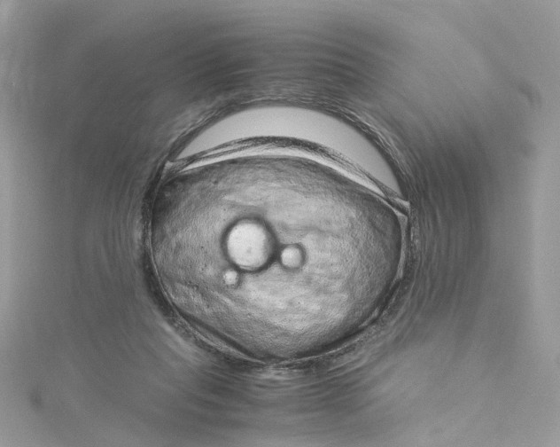 X0000115150261200911171247