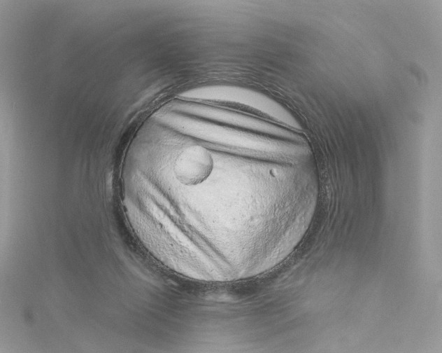 X0000115150262200911171247