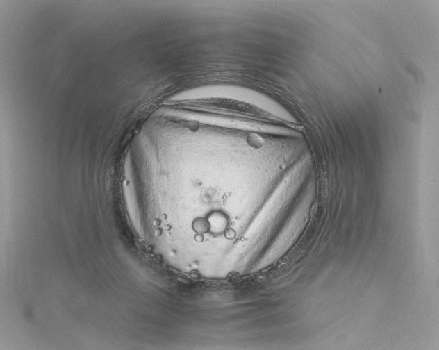 X0000115150263200911171247