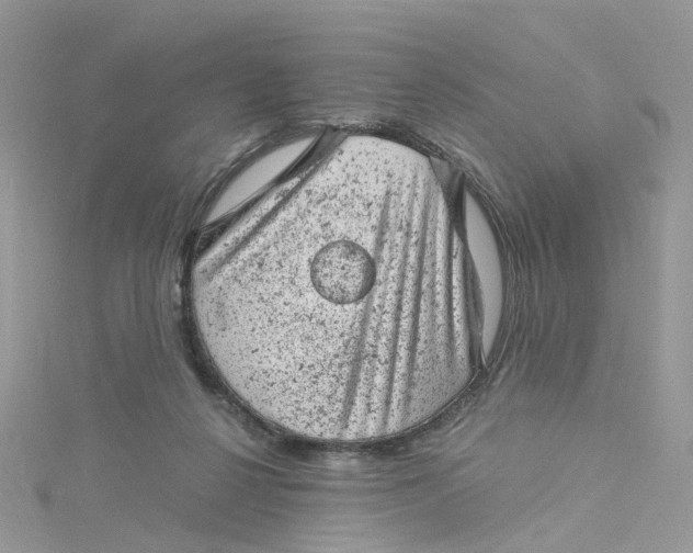 X0000115150264200911171247