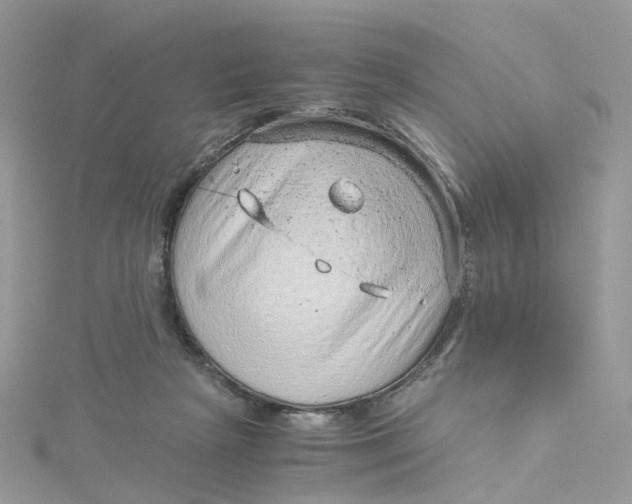 X0000115150265200911171247