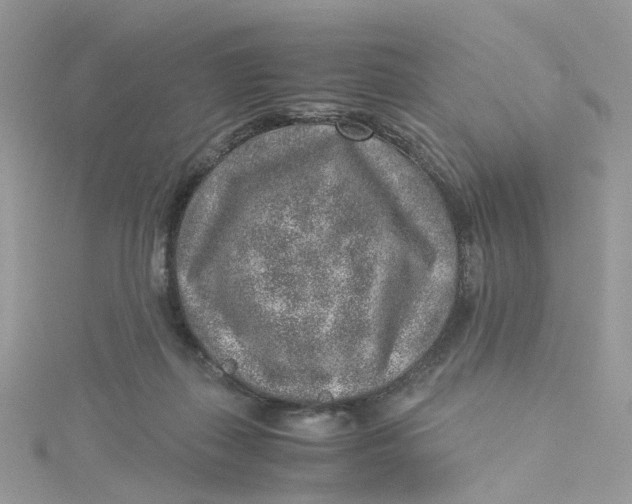 X0000115150267200911171247