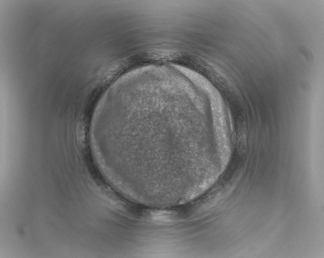 X0000115150268200911171247