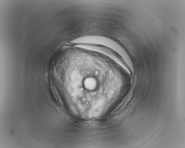 X0000115150269200911171247