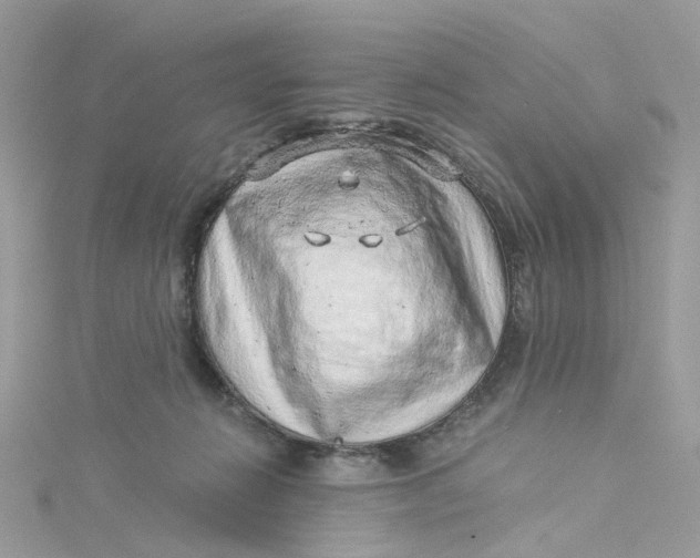 X0000115150270200911171247