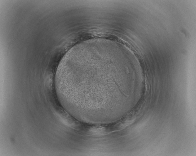 X0000115150271200911171247