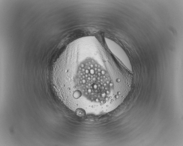 X0000115150274200911171247