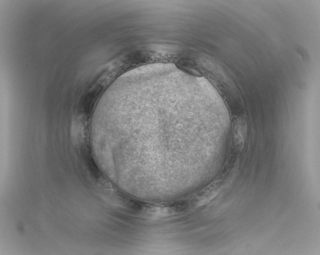 X0000115150276200911171247