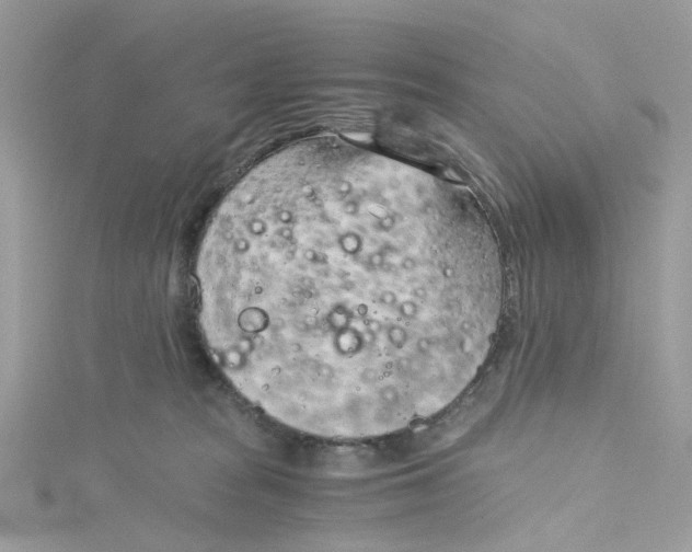 X0000115150277200911171247