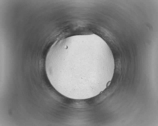 X0000115150278200911171247