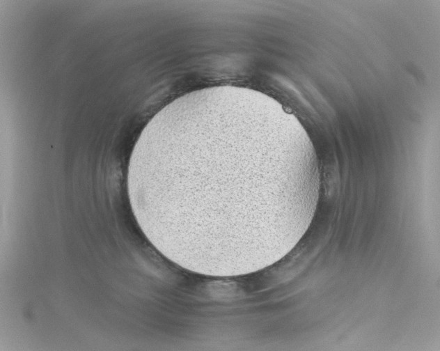 X0000115150279200911171247