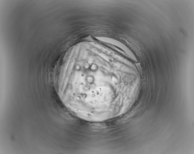 X0000115150281200911171247