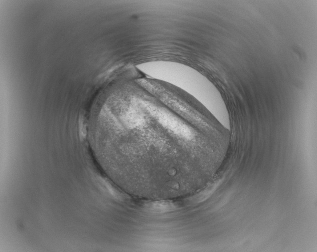 X0000115150282200911171247