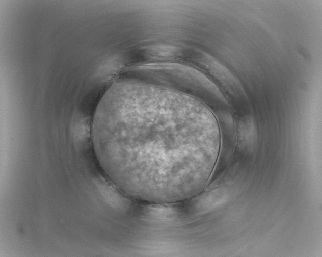 X0000115150284200911171247