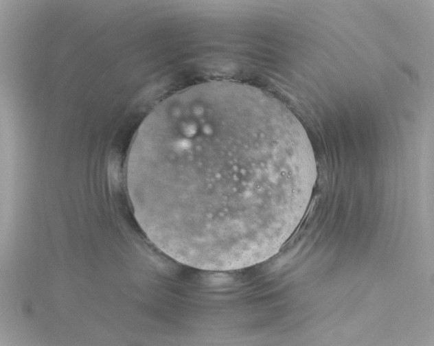 X0000115150287200911171247