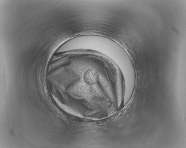 X0000115150289200911171246