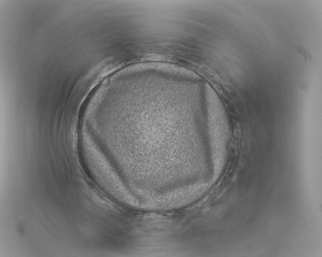 X0000115150290200911171246