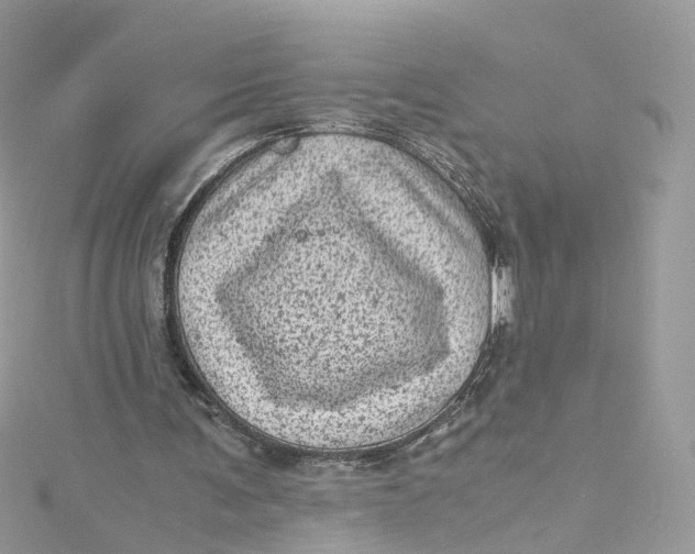 X0000115150291200911171246