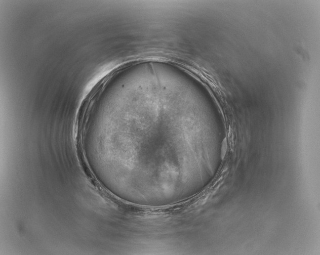 X0000115150292200911171246