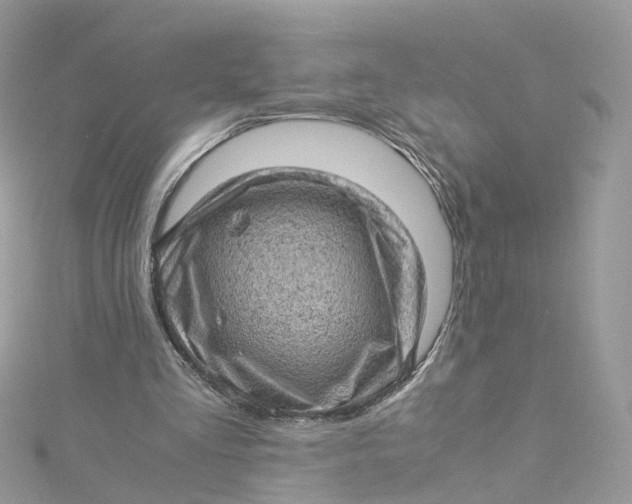 X0000115150293200911171246