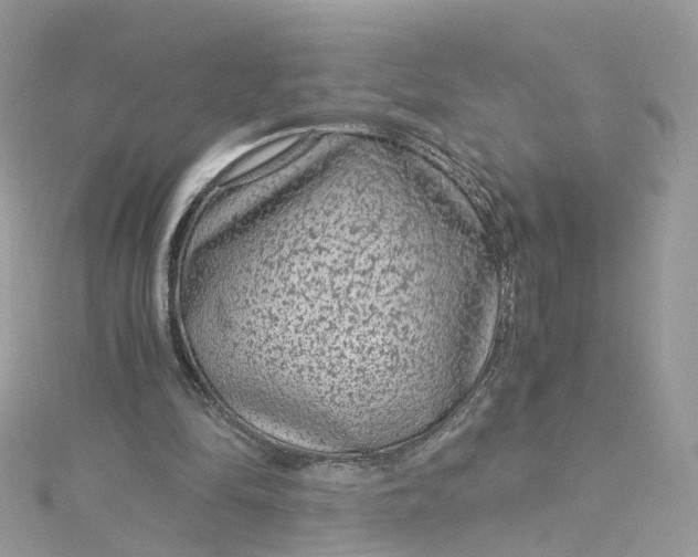 X0000115150294200911171246