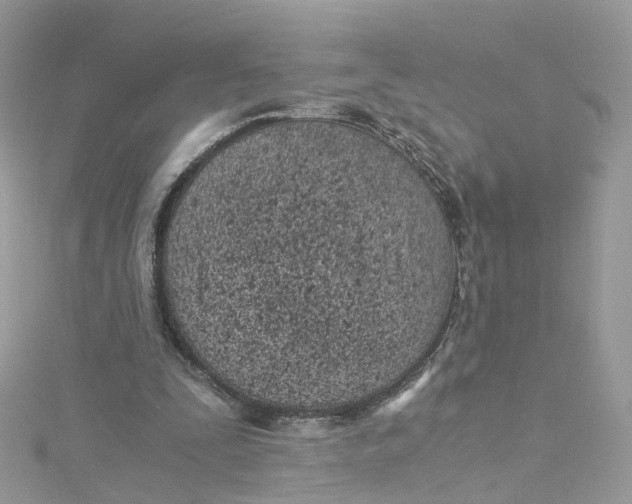 X0000115150295200911171246