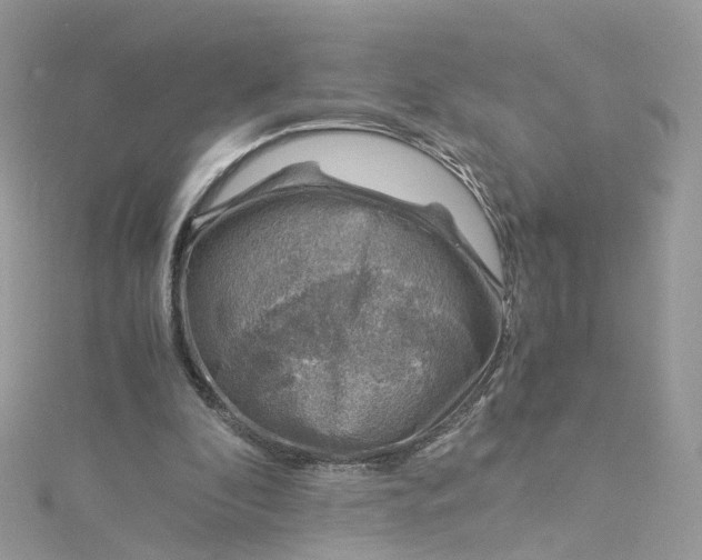 X0000115150296200911171246