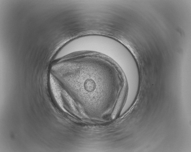 X0000115150297200911171246