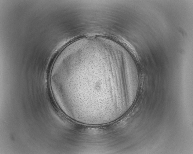 X0000115150298200911171246