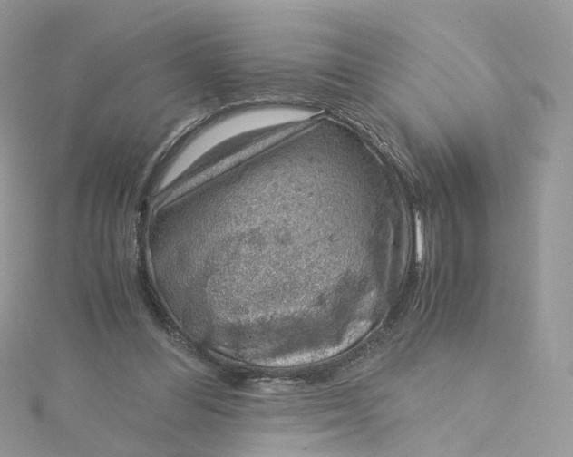 X0000115150300200911171246